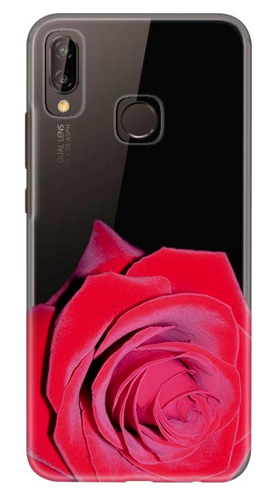 Çiçek 12