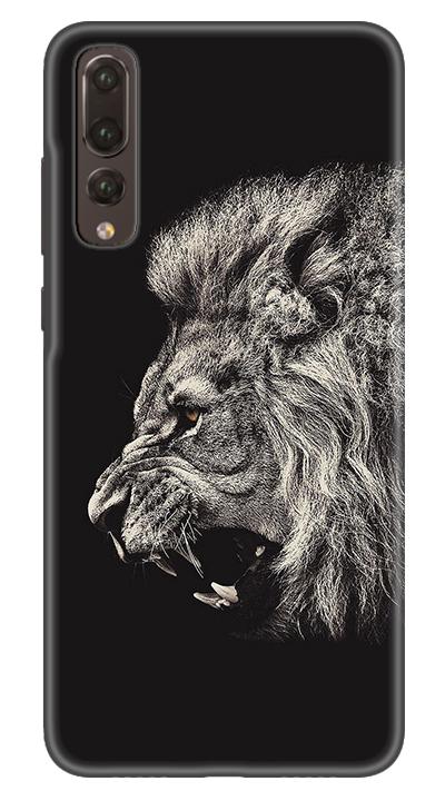Aslan