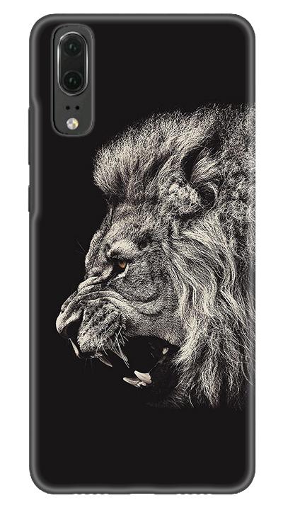 Aslan