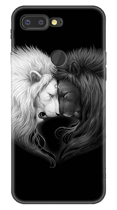 Aslan 2